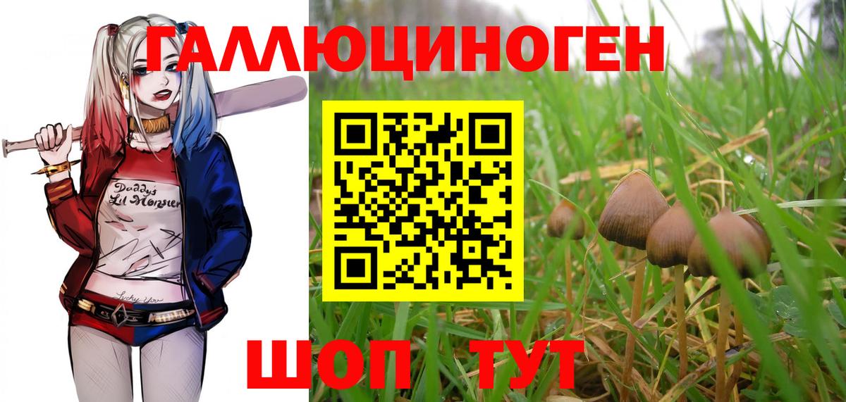 Галлюциногенные грибы мицелий Трёхгорный