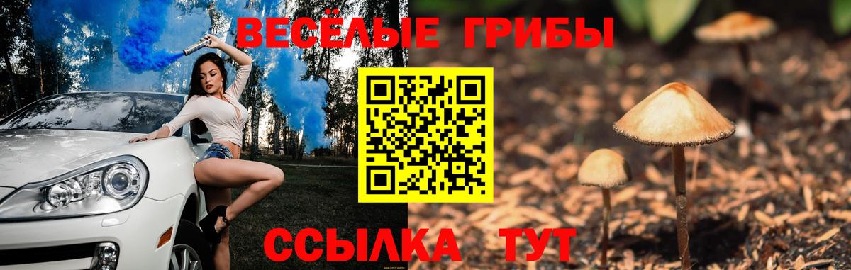 Псилоцибиновые грибы мухоморы  продажа наркотиков  Трёхгорный  Вход с VPN 